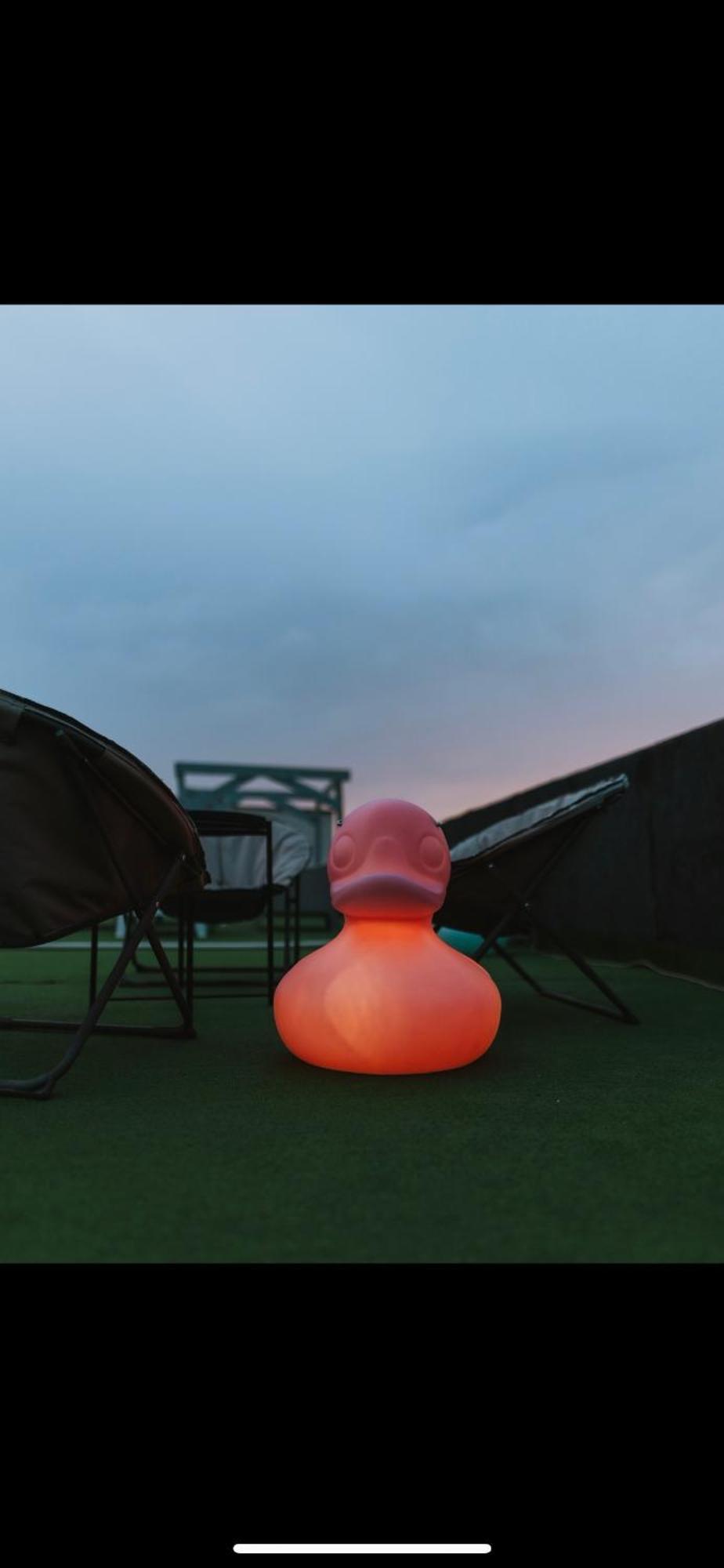 Casa Ryn Otel Vama Veche Dış mekan fotoğraf